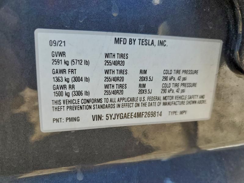 2021 Tesla Model y