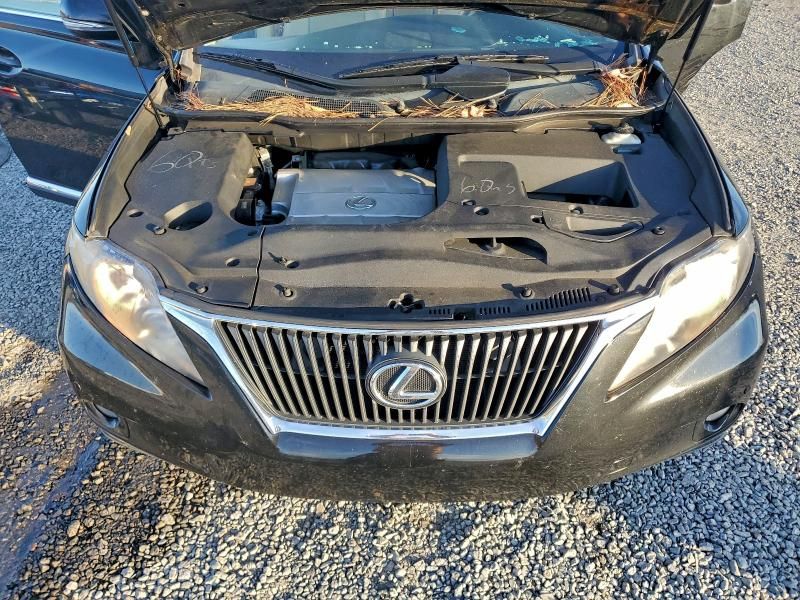 2010 Lexus Rx 350