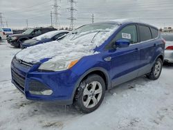 Salvage cars for sale from Copart Elgin, IL: 2015 Ford Escape se