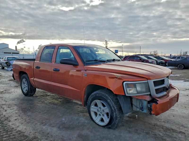 2010 Dodge Dakota SXT