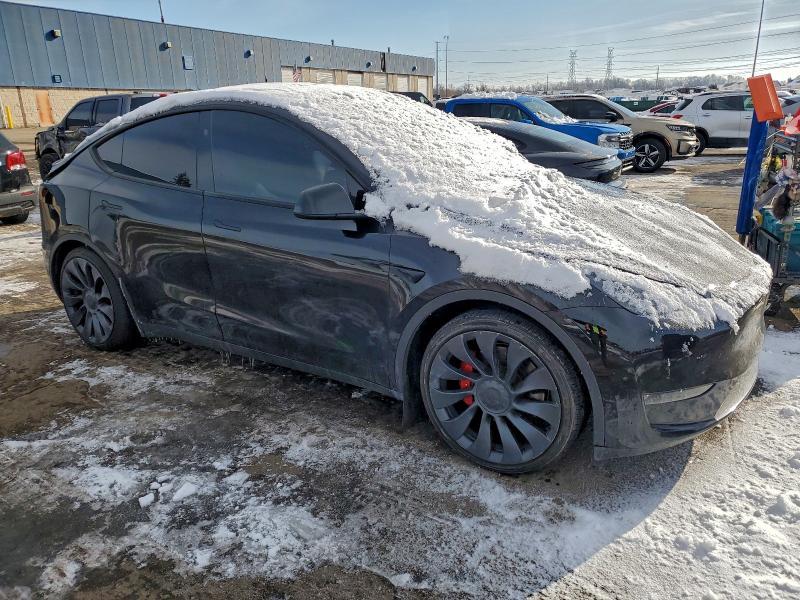 2024 Tesla Model y