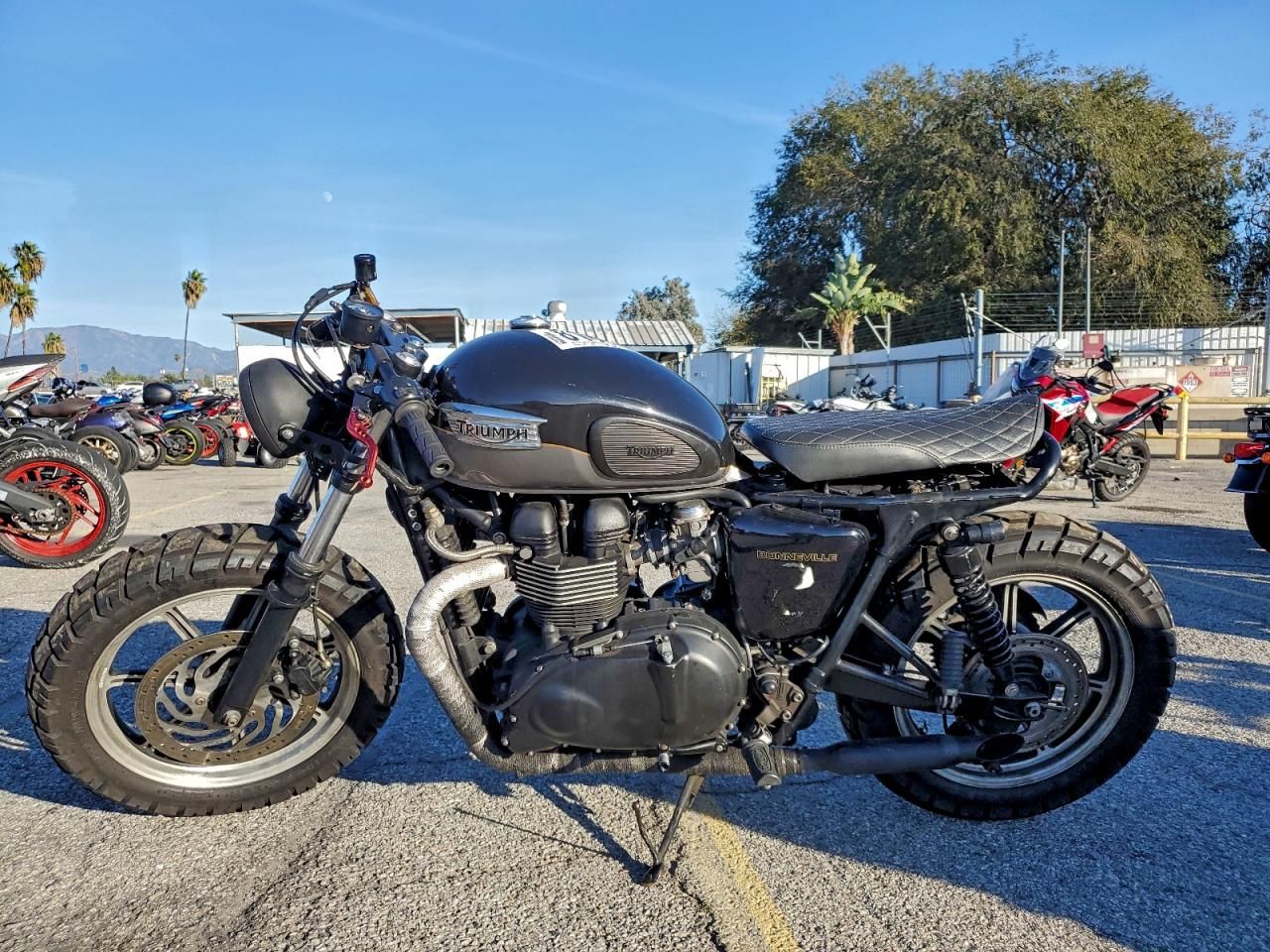 2009 Triumph Bonneville
