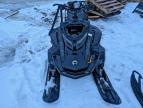 2023 Skidoo Skandic LE 900 ACE