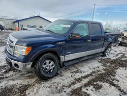 Ford salvage cars for sale: 2013 Ford F150 Supercrew