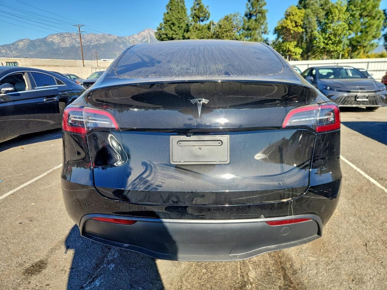 2025 Tesla Model y