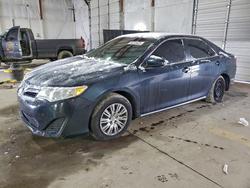 Vehiculos salvage en venta de Copart Lexington, KY: 2014 Toyota Camry le