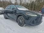 2024 Lexus Rx 350 Base