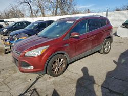 Salvage cars for sale from Copart Bridgeton, MO: 2016 Ford Escape Titanium